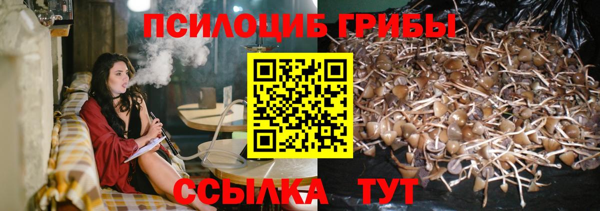 Галлюциногенные грибы мухоморы  Вход с VPN  где найти   Лабинск 
